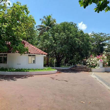 Angels Resort Aradi Socorro Bagian luar foto