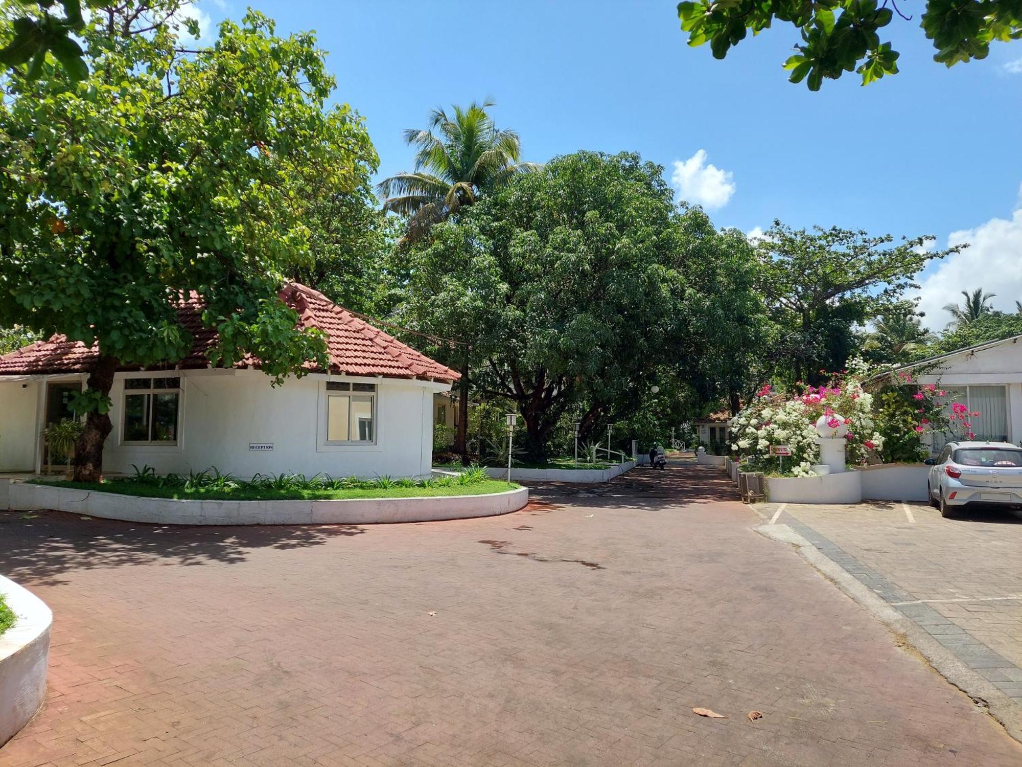 Angels Resort Aradi Socorro Bagian luar foto